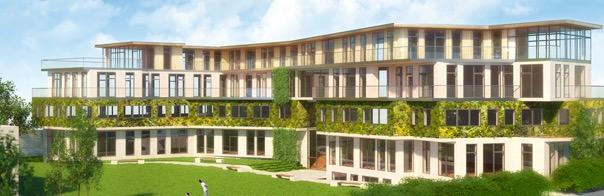 Site development draft